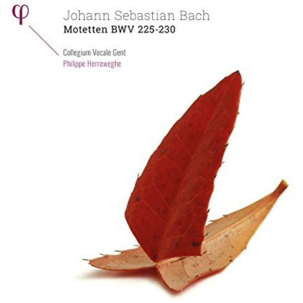Bach,J.S. / Collegium Vocale Gent / Herreweghe - Johann Sebastian Bach: Motetten